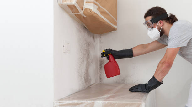 Professional Commercial Mold Remediation technician working in Old Westbury, NY
